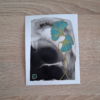 collection 11 cartes feuilles de ginko
